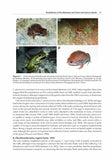 The Conservation and Biogeography of Amphibians in the Caribbean - Pelagic Publishing