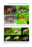 The Conservation and Biogeography of Amphibians in the Caribbean - Pelagic Publishing
