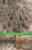 The Hair Scale Identification Guide to Terrestrial Mammalian Carnivores of Canada - Pelagic Publishing
