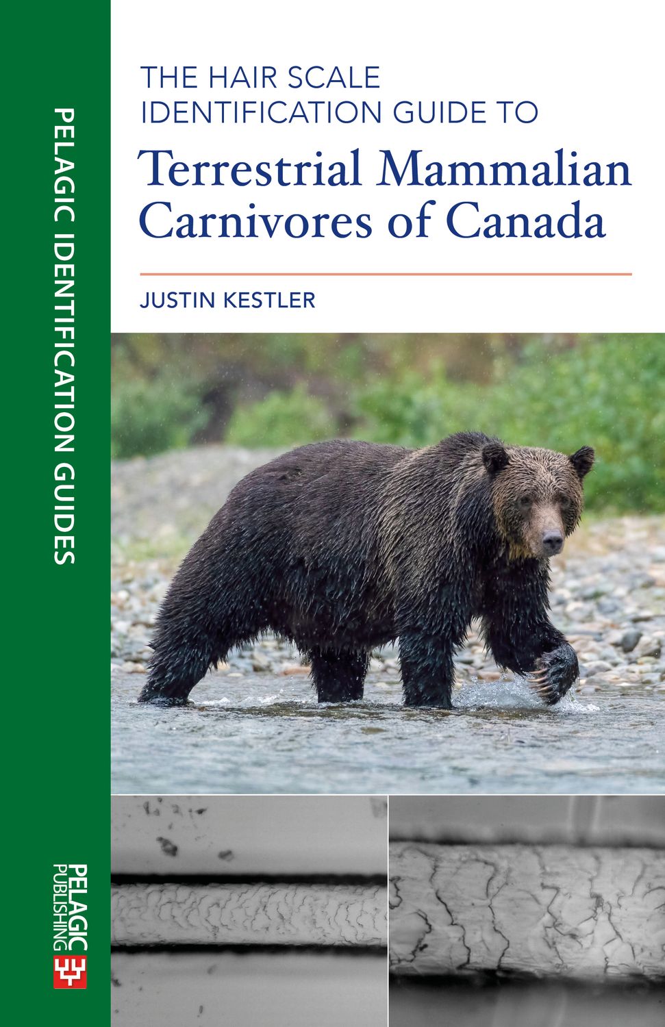 The Hair Scale Identification Guide to Terrestrial Carnivores of Canada - Pelagic Publishing