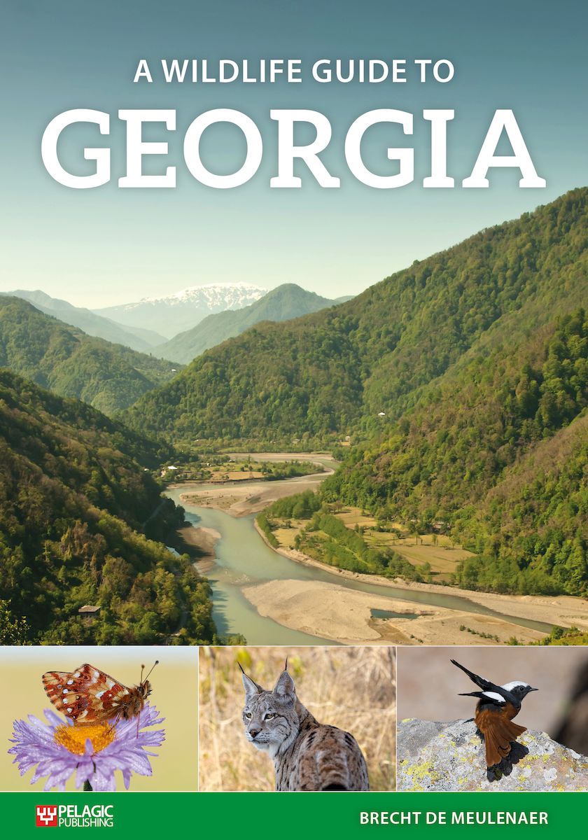 A Wildlife Guide to Georgia - Pelagic Publishing