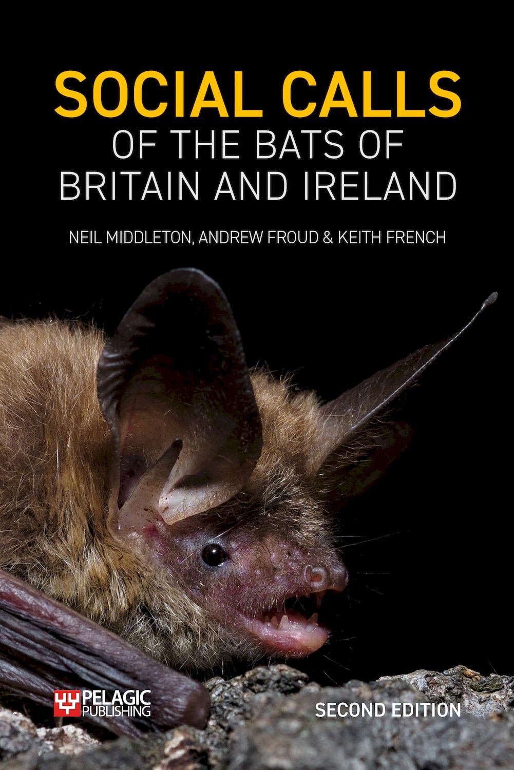 Froud,　9781784273781　Bats　edition　and　2nd　Social　Ireland　Britain　of　French　Publishing　Calls　Pelagic　of　the　Middleton,　–