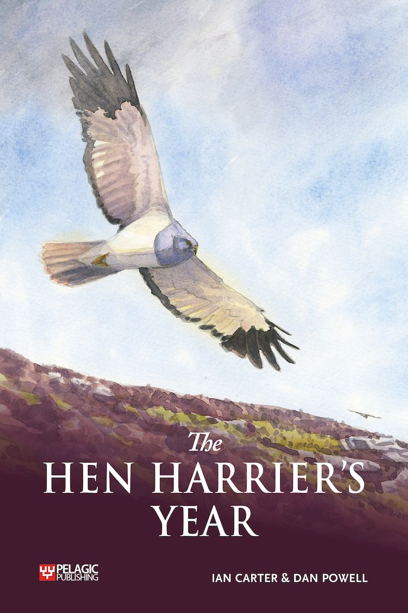 The　Harrier's　Pelagic　Carter　–　Hen　9781784273859　Powell　Year　Publishing