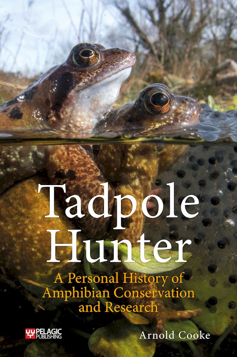 Tadpole Hunter - Pelagic Publishing