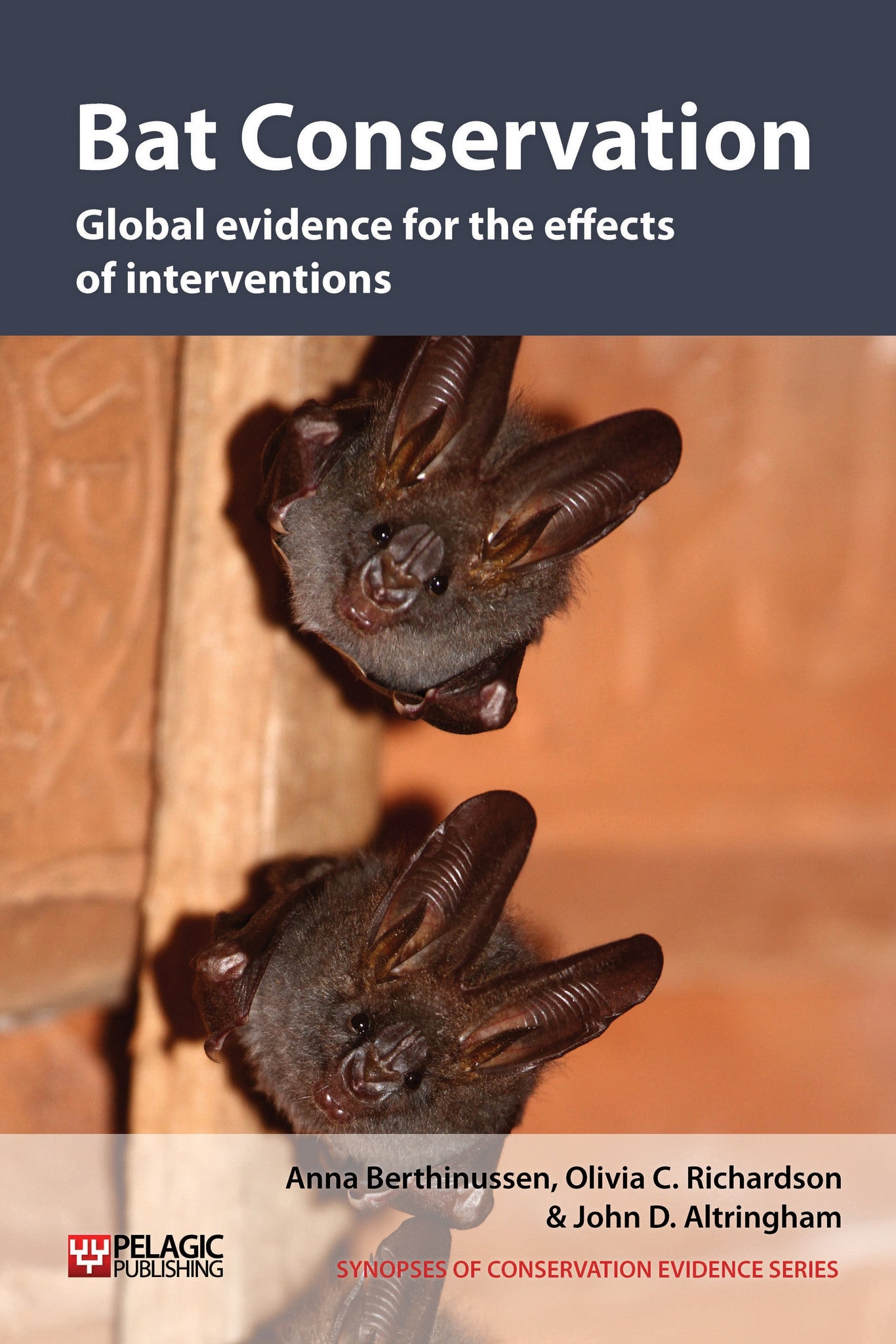 Bat Conservation - Pelagic Publishing