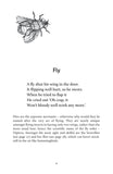 A Natural History of Insects in 100 Limericks - Pelagic Publishing