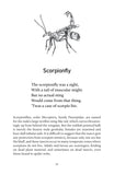 A Natural History of Insects in 100 Limericks - Pelagic Publishing