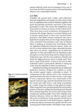 Amphibians and reptiles - Pelagic Publishing