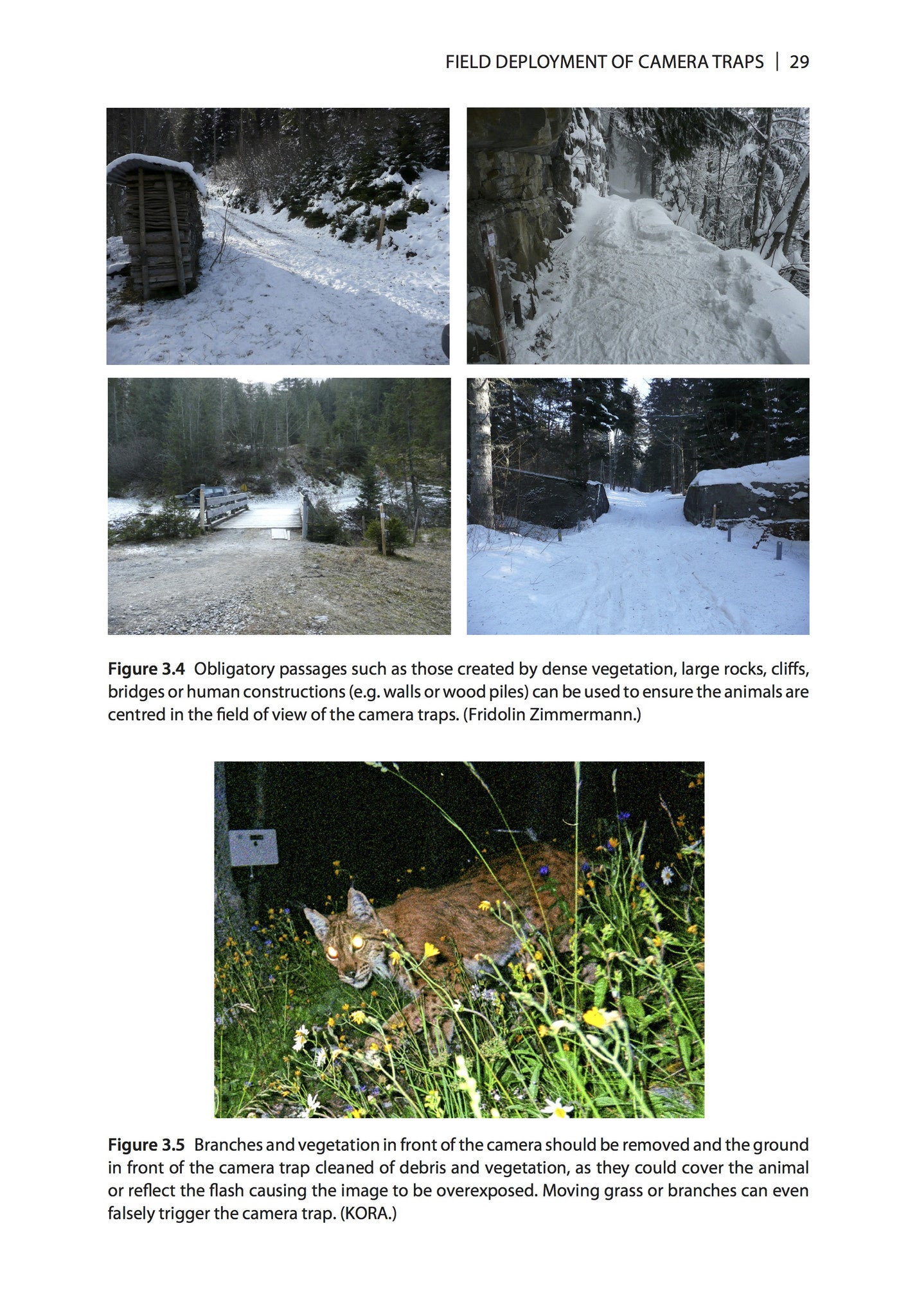 Camera Trapping Method Camera Trapping for Wildlife Research - Pelagic Publishing