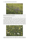 Grassland Restoration and Management - Pelagic Publishing