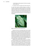 Leaf beetles - Pelagic Publishing