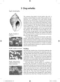 Snails on rocky sea shores - Pelagic Publishing
