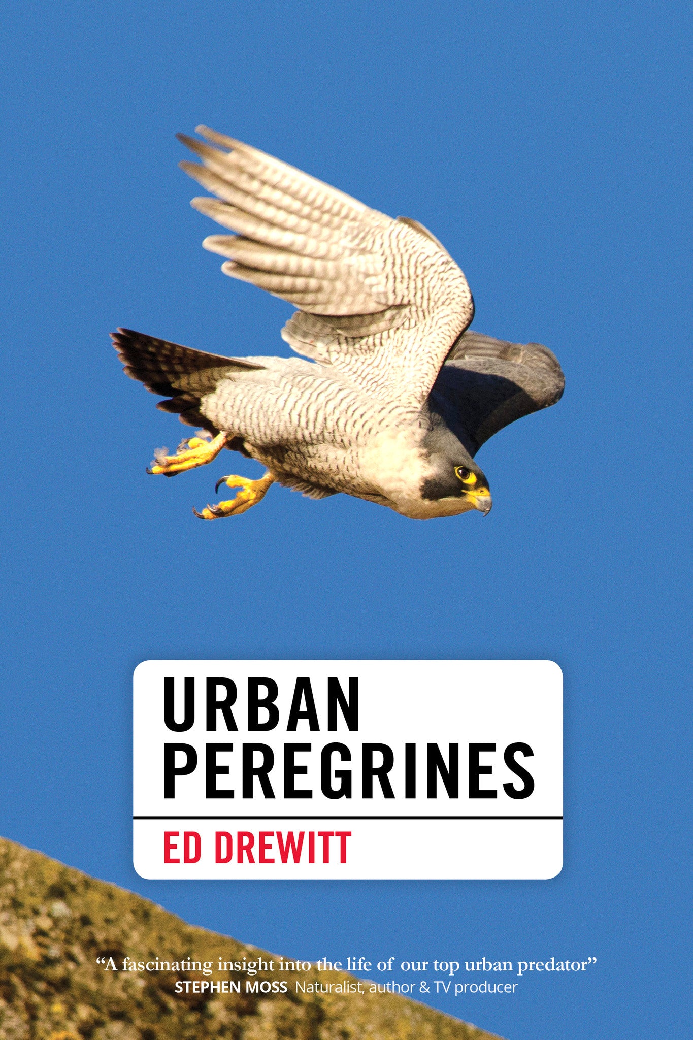 Urban Peregrines - Pelagic Publishing